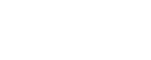 data sage logo white